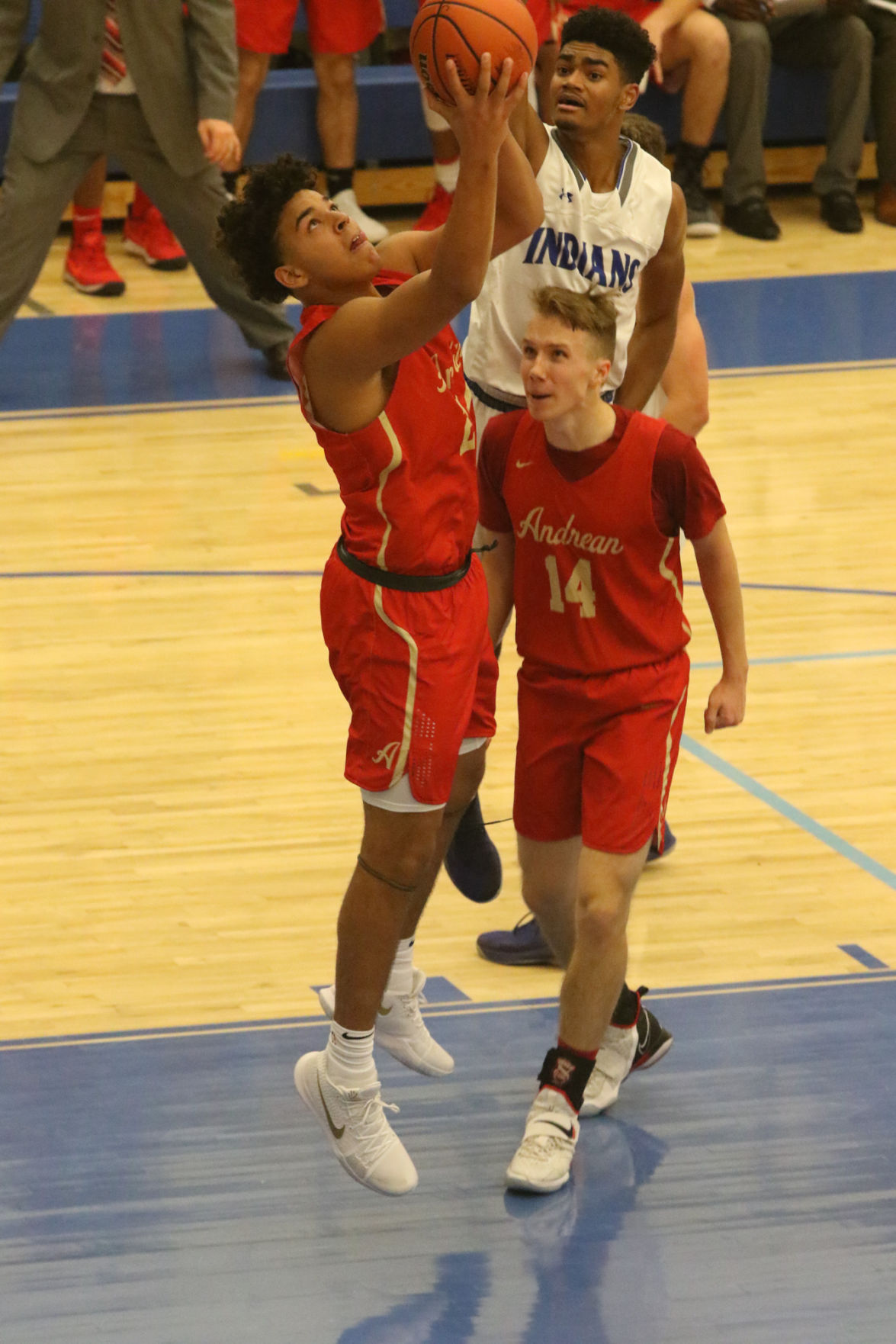 Gallery: Andrean at Lake Central boys basketball